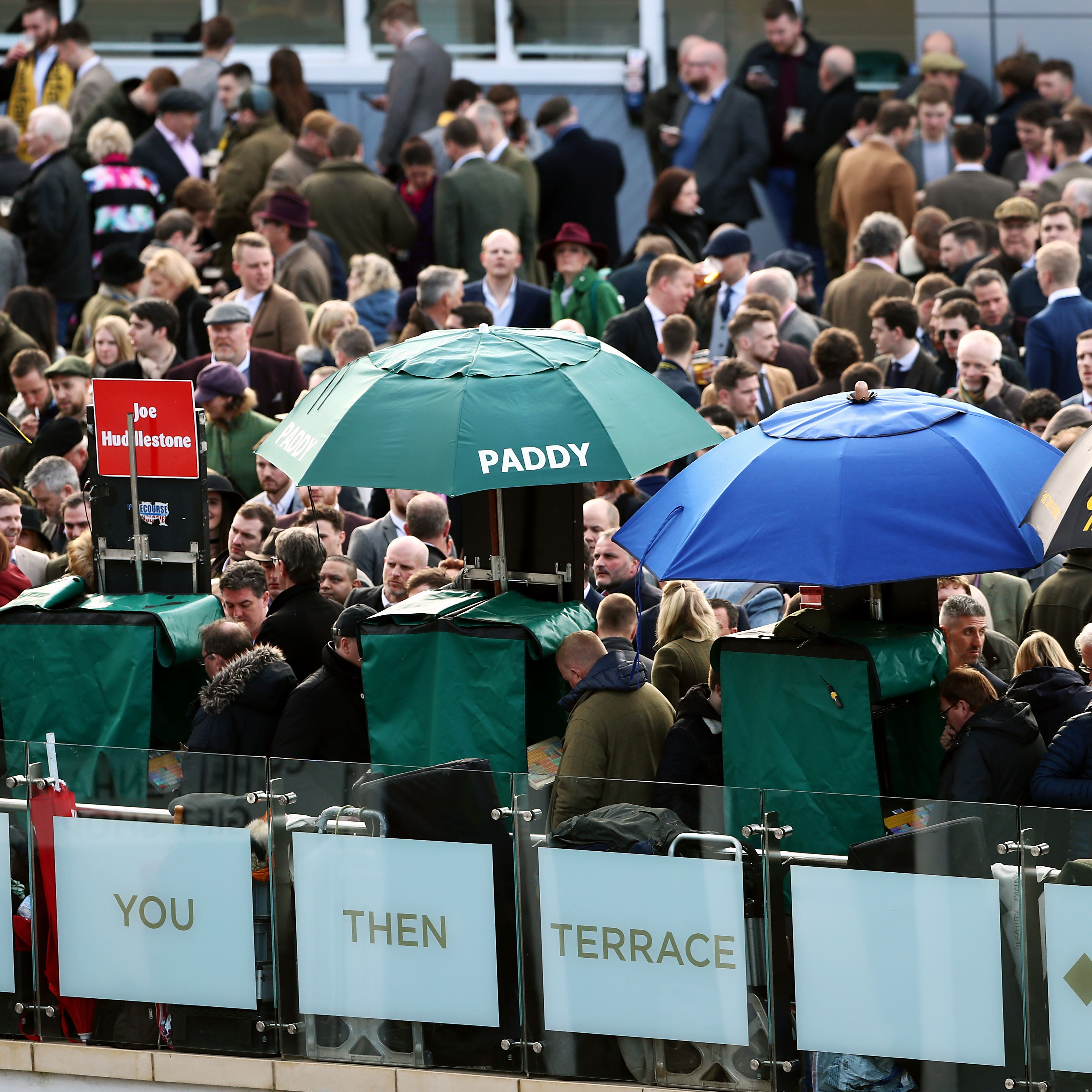 The betting ring at Cheltenham