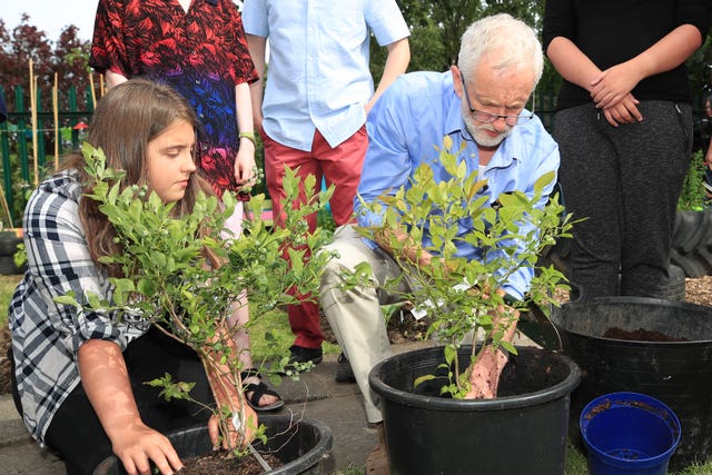 Jeremy Corbyn plants a tree in Macclesfield