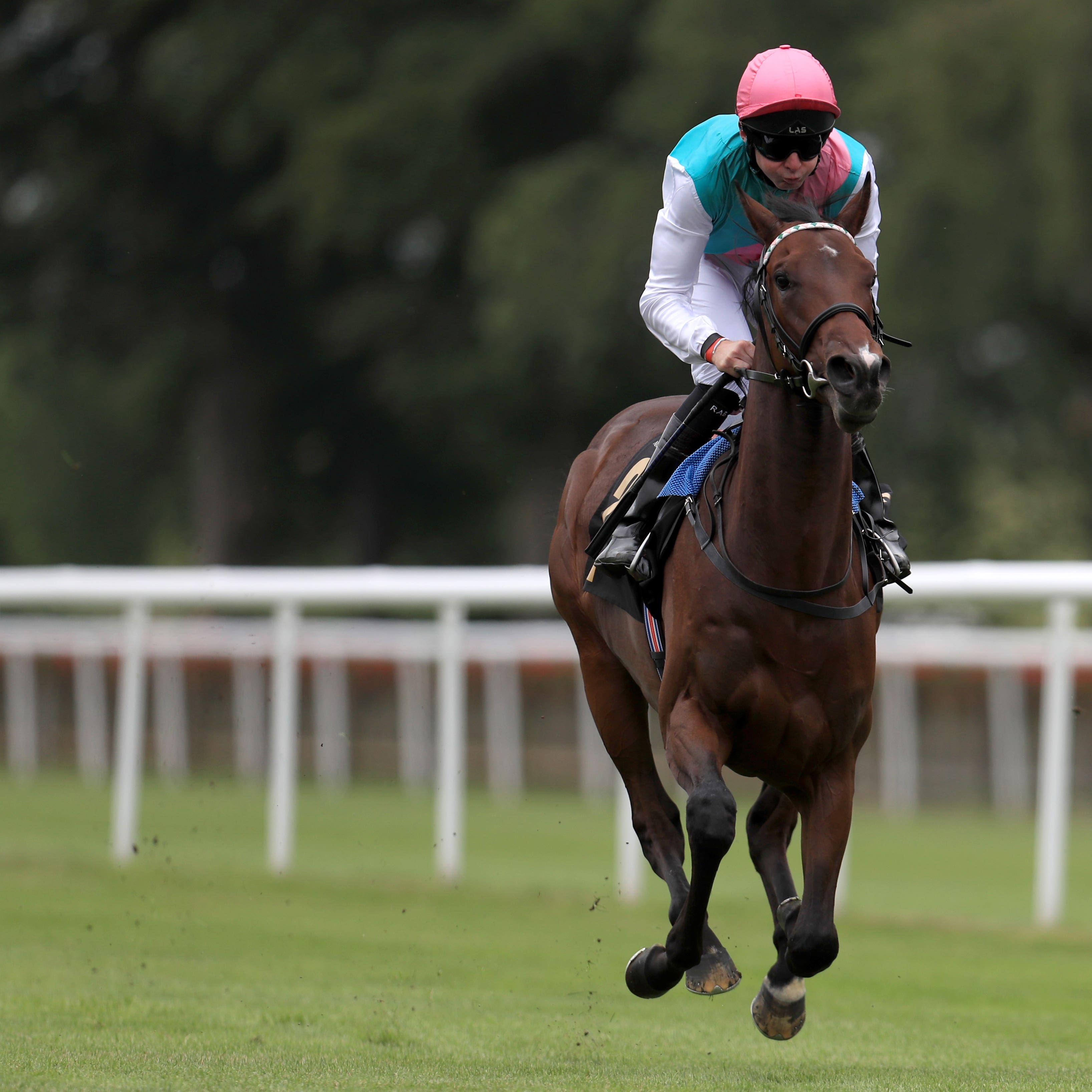 Calyx was a wide-margin winner on debut