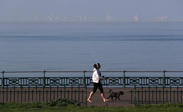 A dog walker on Brighton seafront as bank holiday Monday dawns (Steve Parsons/PA)