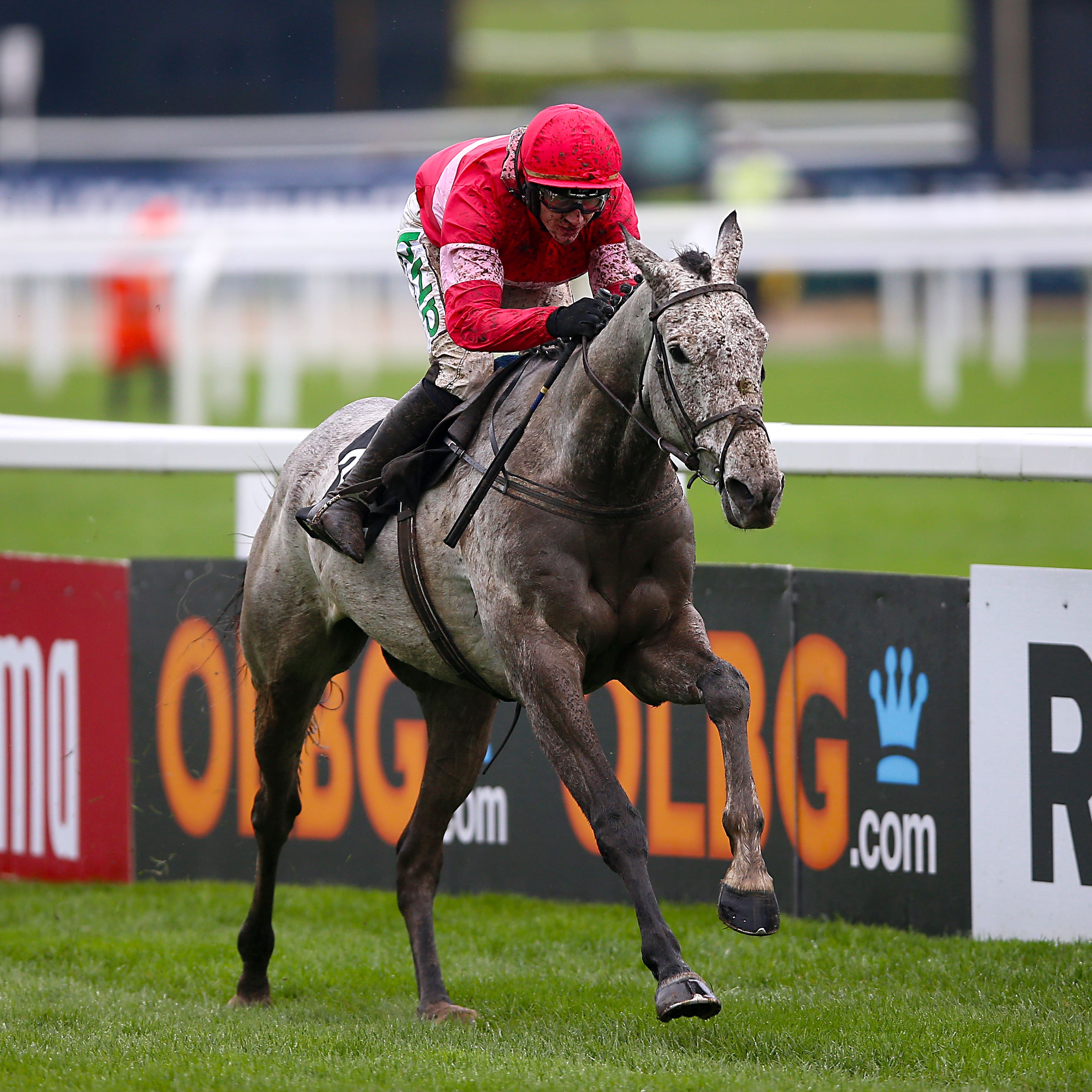 Duc Des Genievres was so impressive in the Arkle