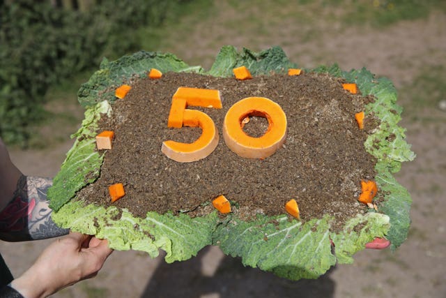 Giraffe cake