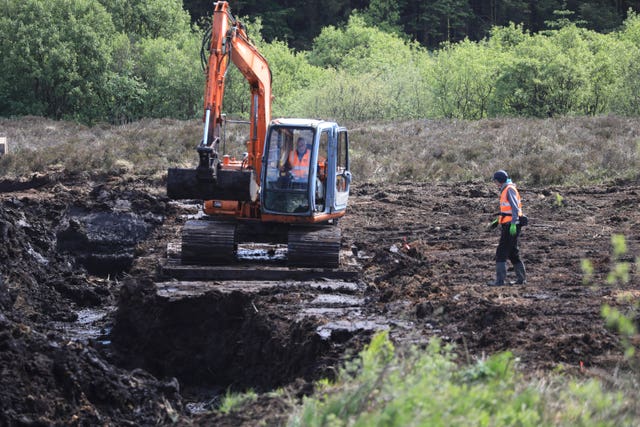 Columba McVeigh search