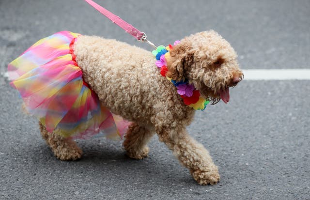 Dublin Pride parade