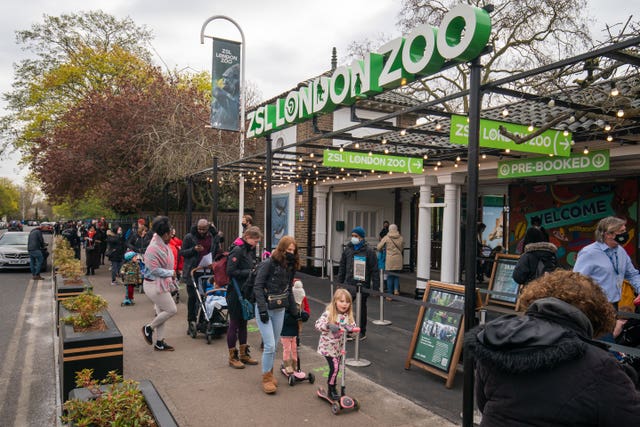 Visitors queue to return to London Zoo