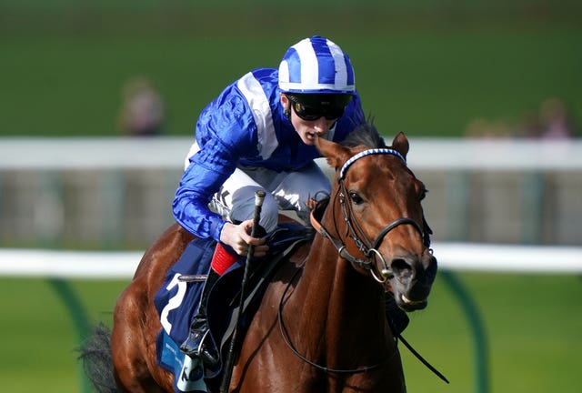 Al Husn winning at Newmarket
