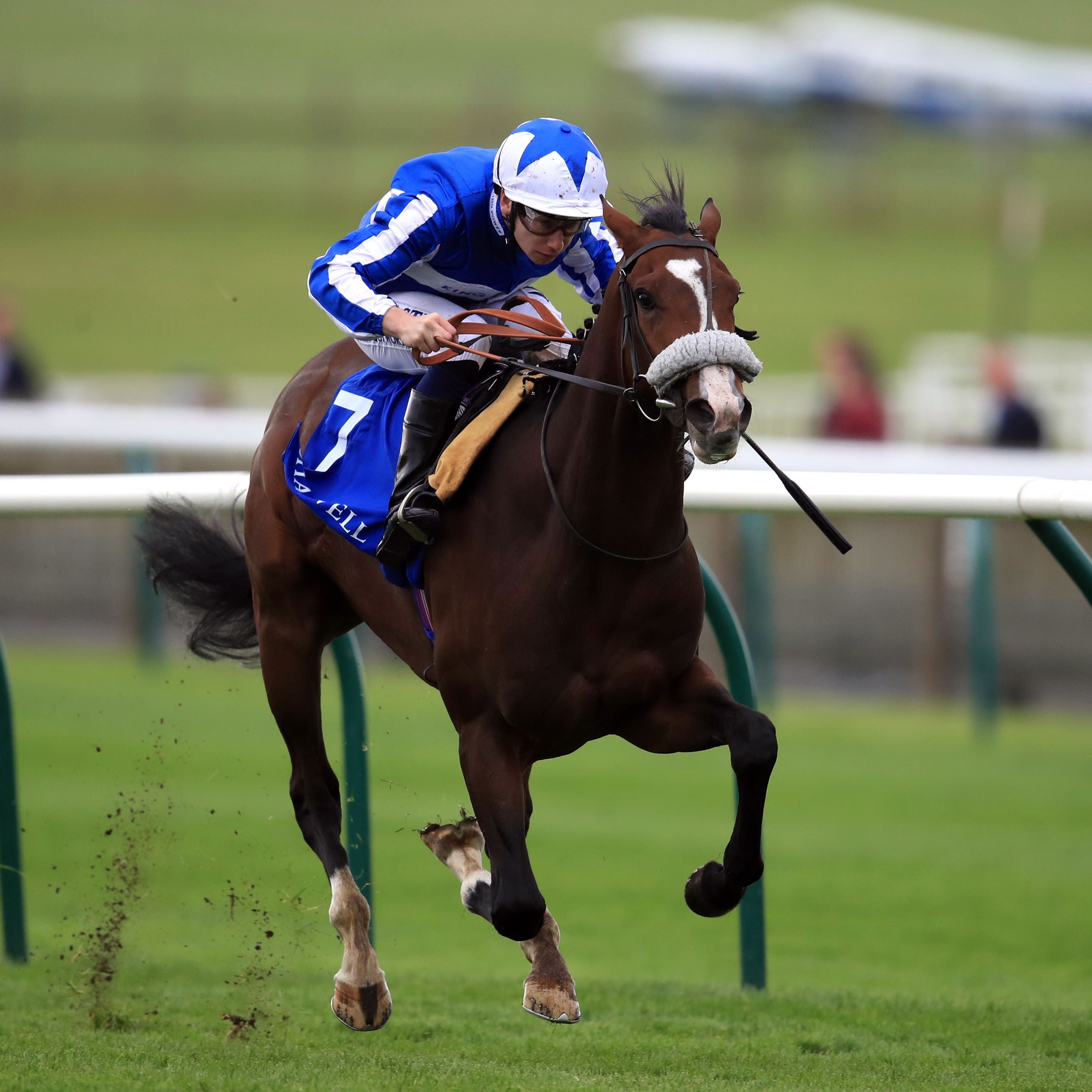 Beat The Bank showed a bit more last time out