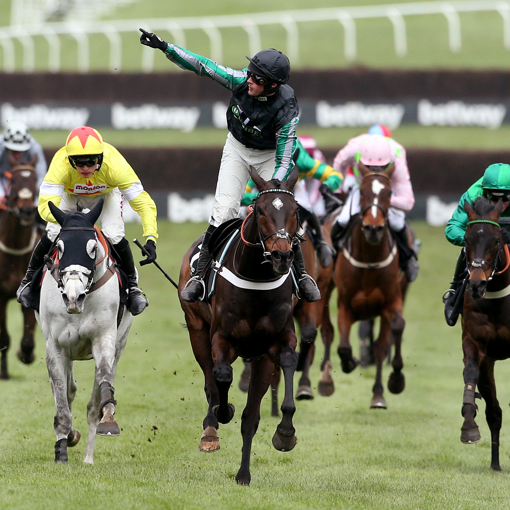 Altior got the job done at Cheltenham