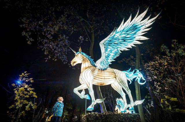 Yorkshire winter illuminations