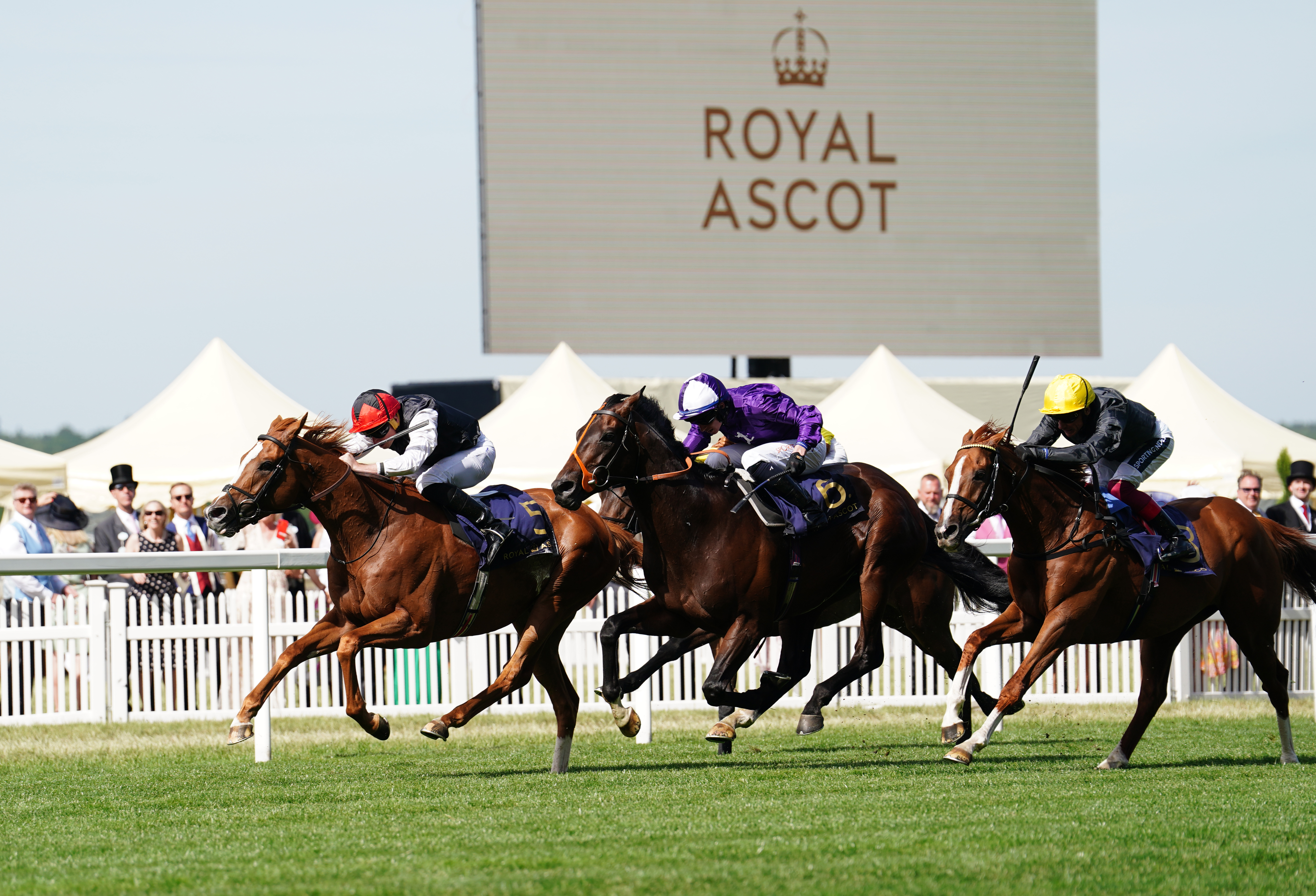 Kyprios could be a doubt to defend his Ascot Gold Cup crown