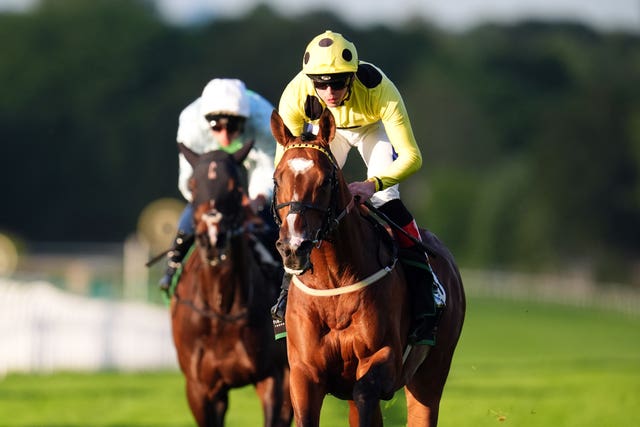 Royal Rhyme winning at Sandown