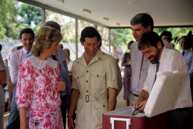 The Prince and Princess of Wales are shown a tiny baby crocodile during a visit to a crocodile farm at Noonamah, near Darwin 