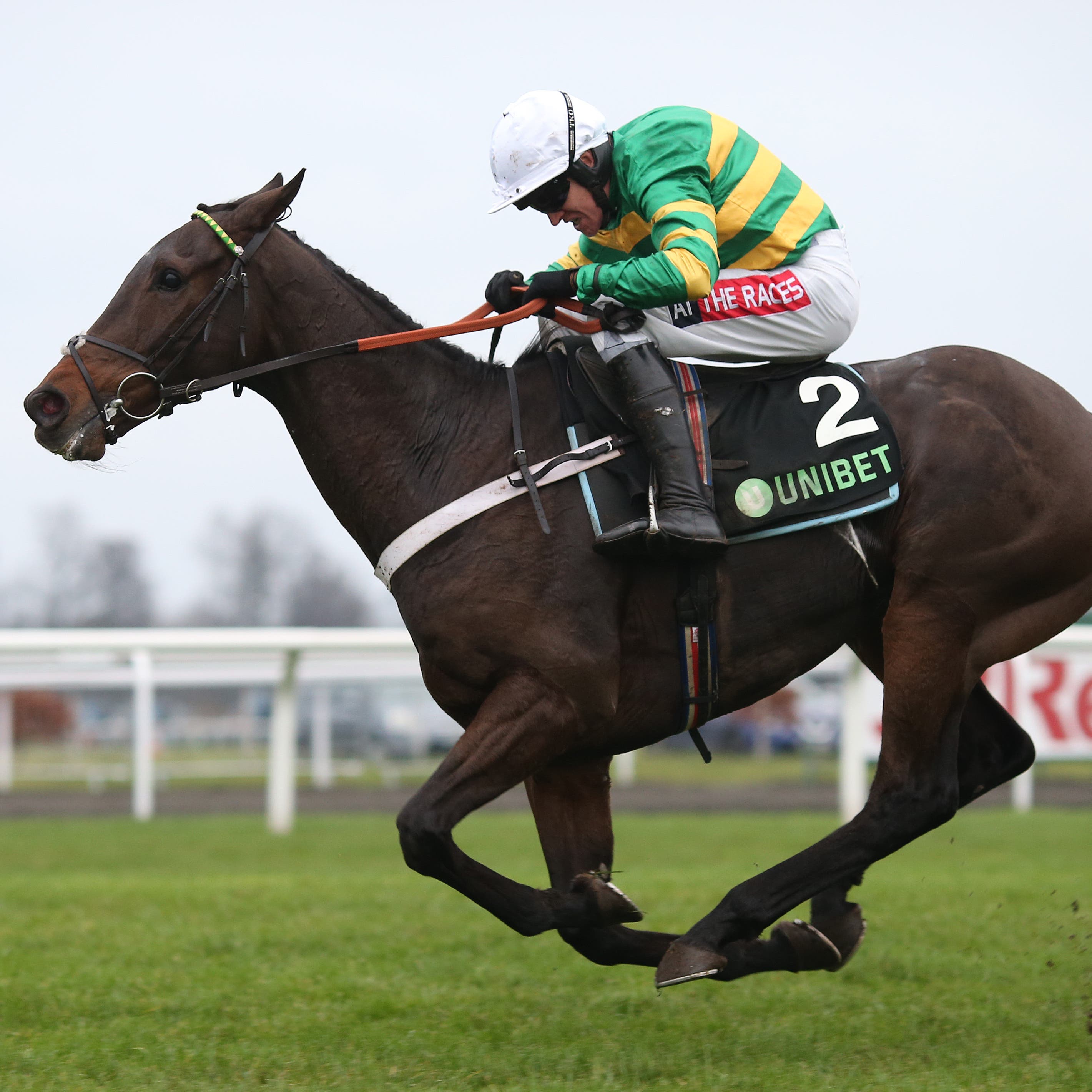 Buveur D'Air will bid for a third victory in the Champion Hurdle