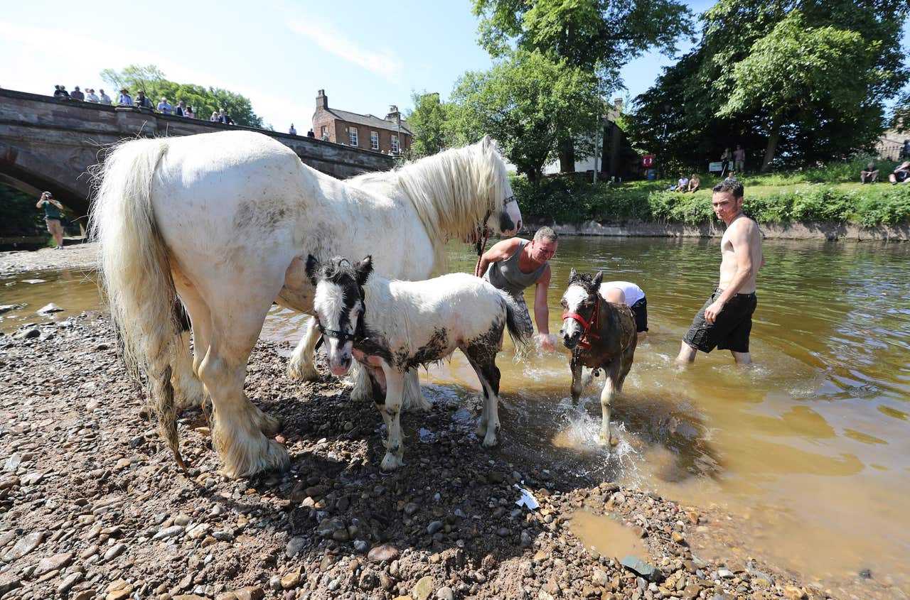 In Pictures Thousands expected in Cumbria for Appleby Horse Fair