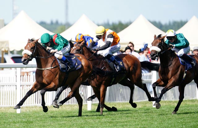 Remarquee (white hat) got going too late 