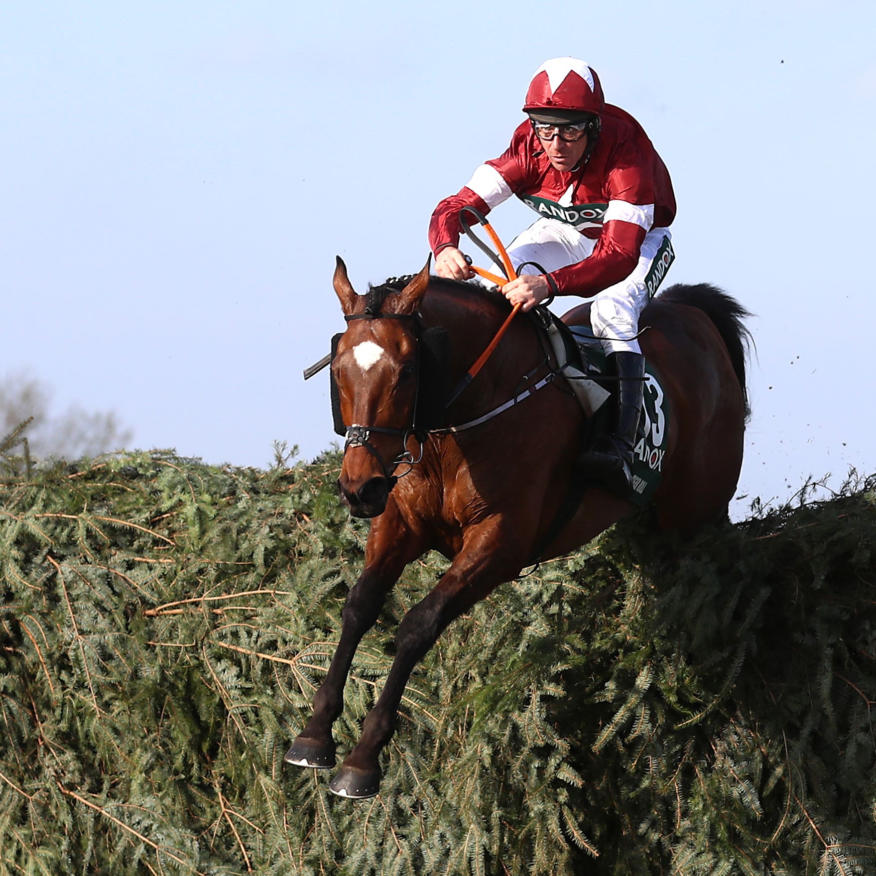 Tiger Roll reappears on Friday