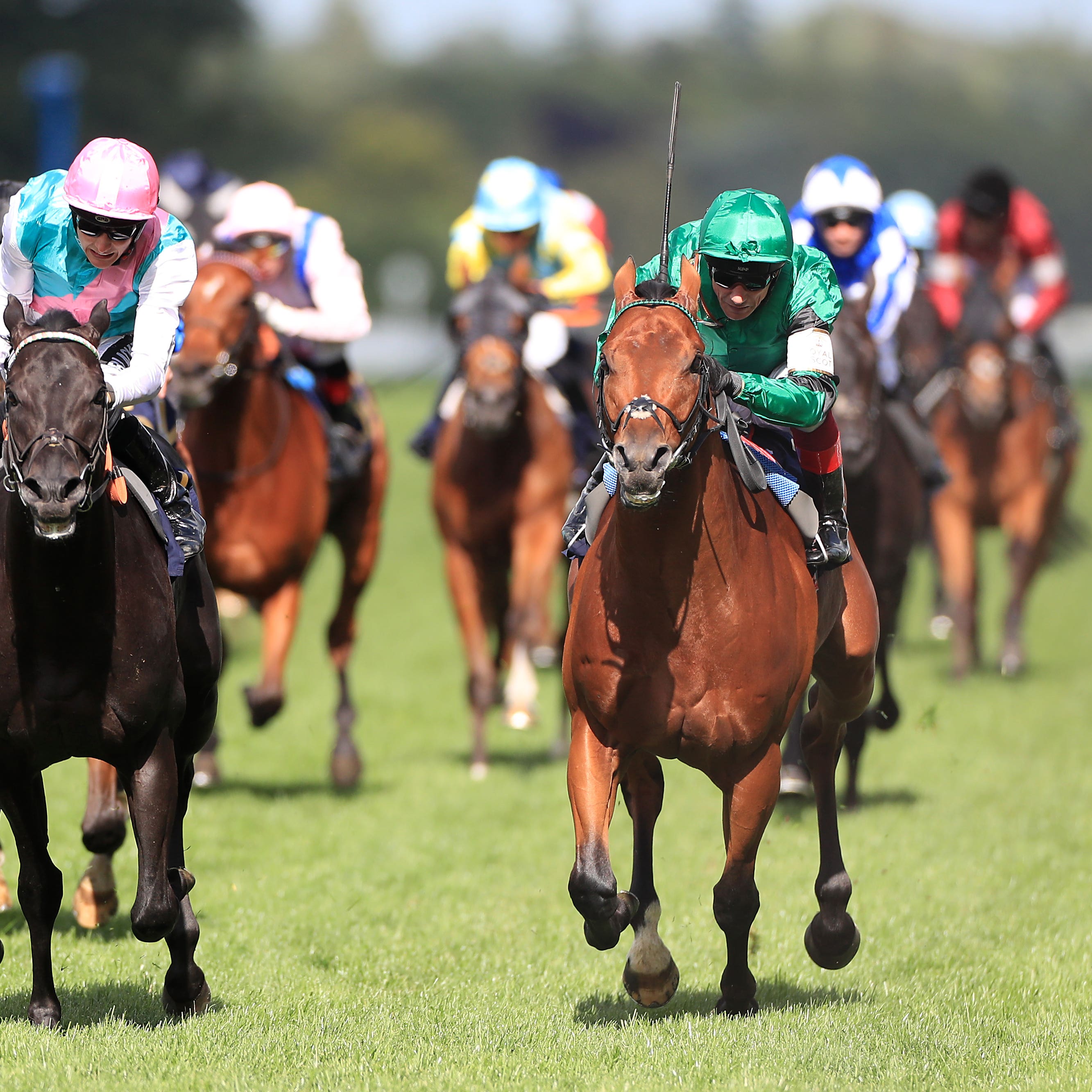 Biometric (left) winning the Britannia Stakes at Royal Ascot, will head for the Bonhams Thoroughbred Stakes at Goodwood on Friday