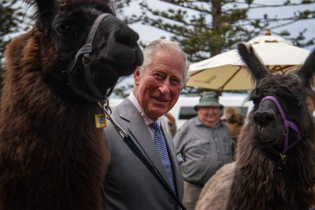 Royal visit to New Zealand – Day Seven