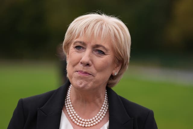 Irish presidential election