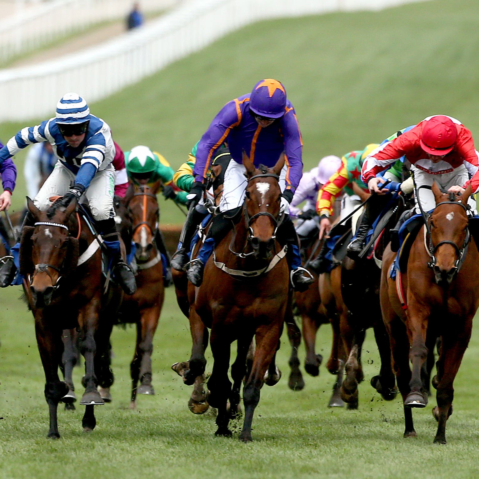 William Henry (blue and white) flashes home to win the Coral Cup
