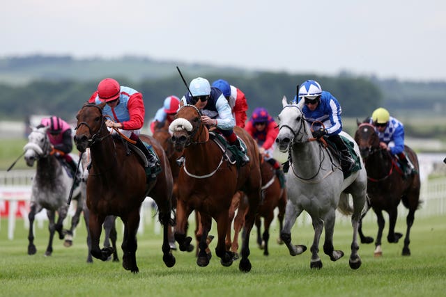 Regional (centre) in action at the Curragh 