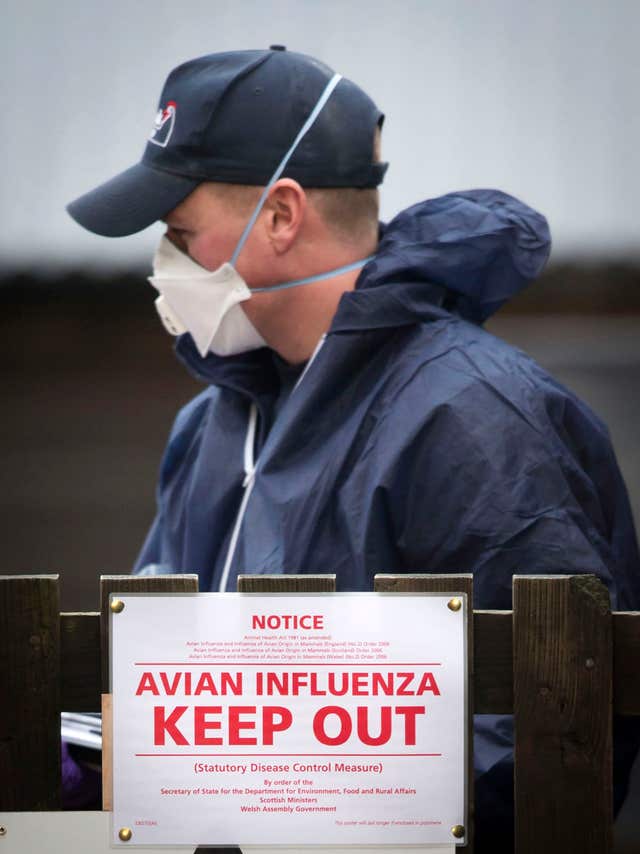 Cases of avian flu have been detected in birds on farms across the country (Danny Lawson/PA)