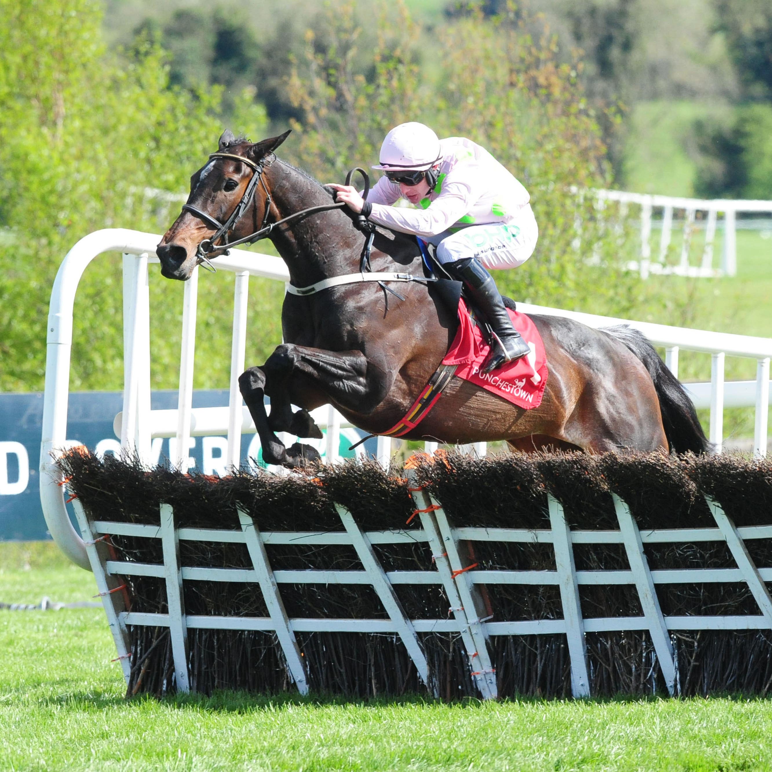 Benie Des Dieux followed up her Punchestown success with a superb staying performance in the French Champion Hurdle