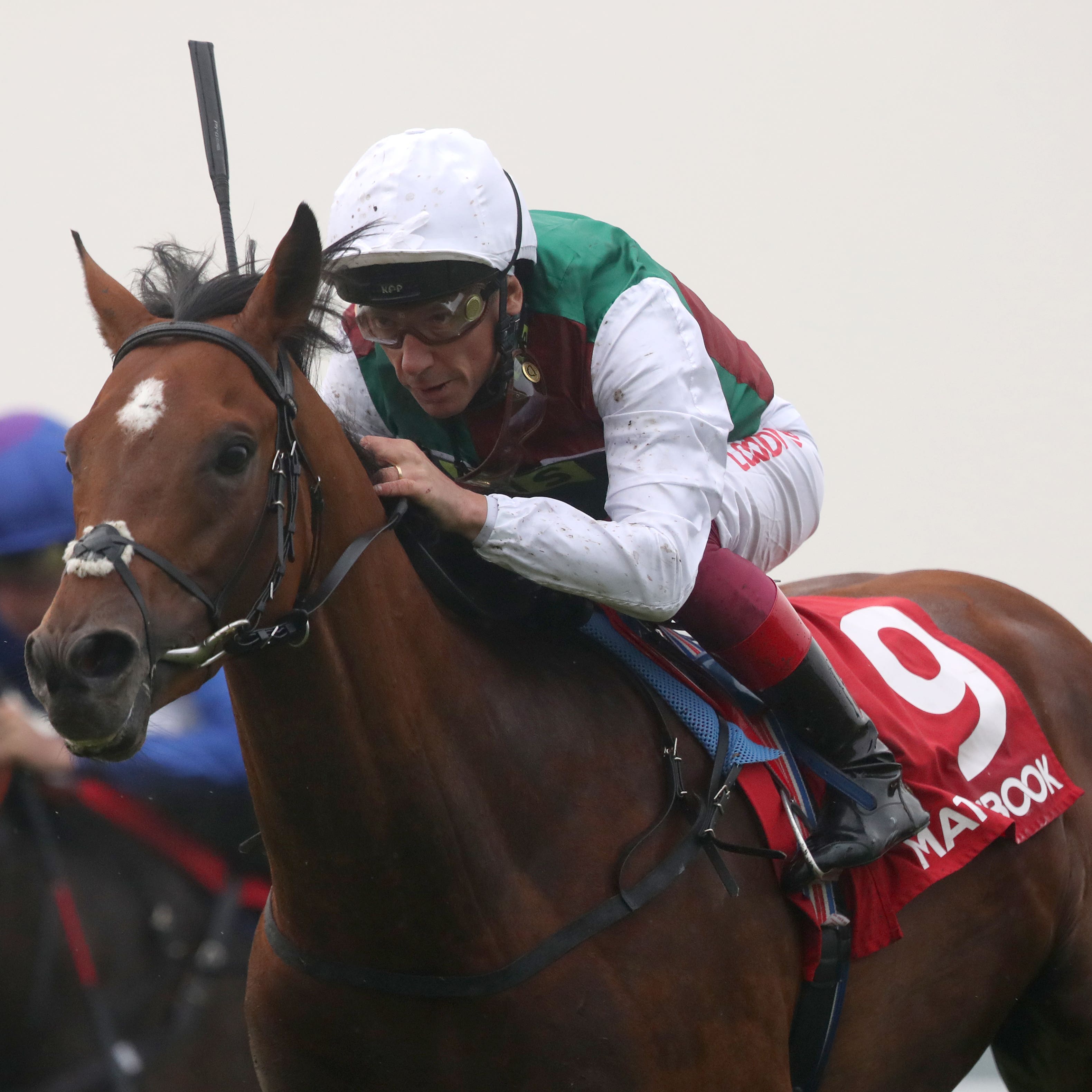 Without Parole comes home in front in the Heron Stakes at Sandown