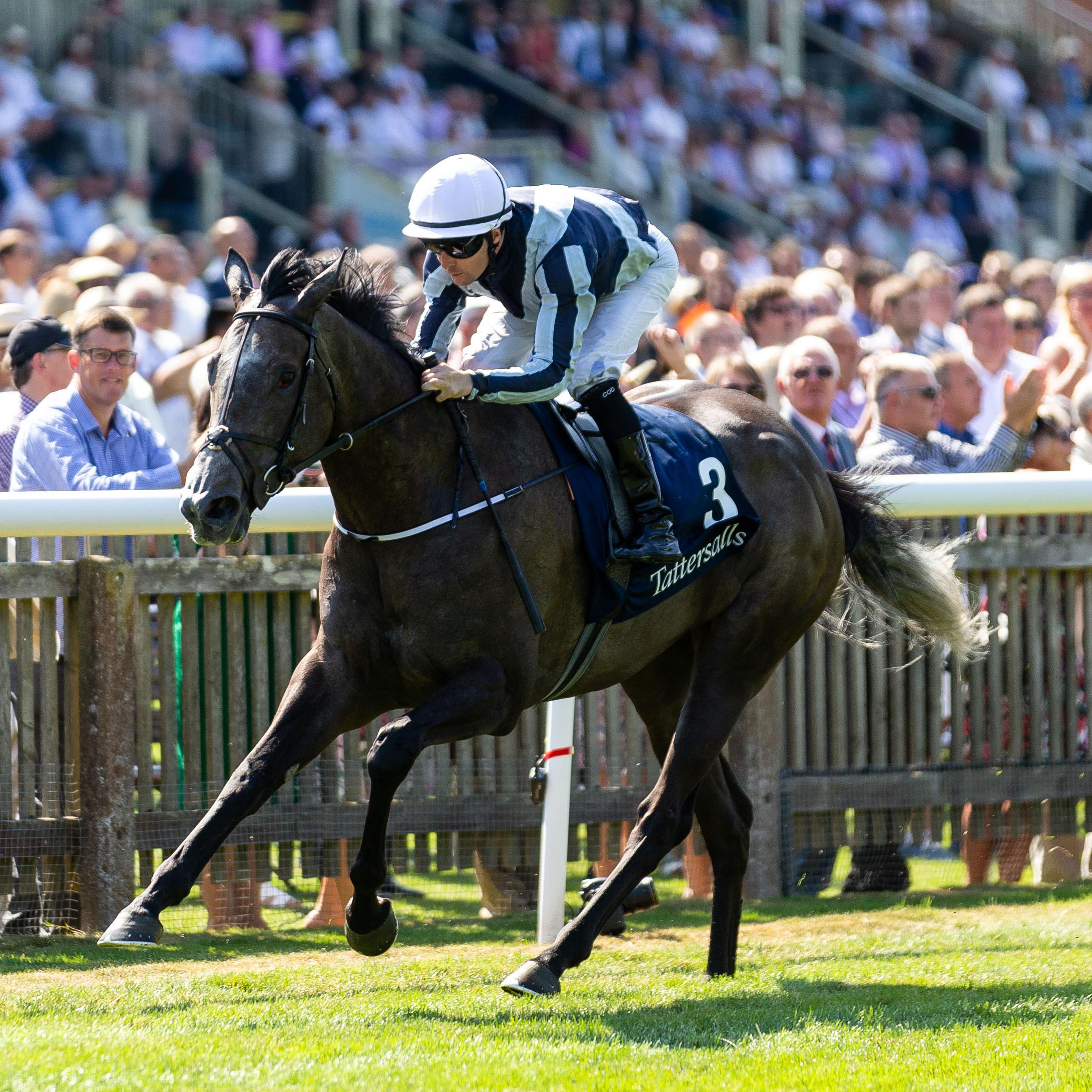 Alpha Centauri was a dazzling winner of the Falmouth Stakes