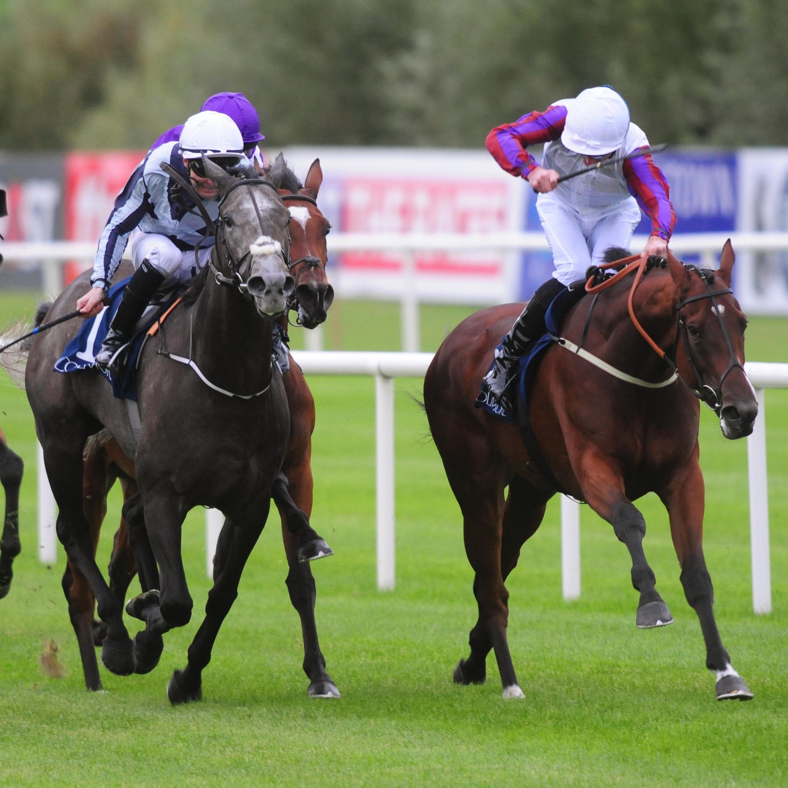 Alpha Centauri went down fighting to Laurens at Leopardstown