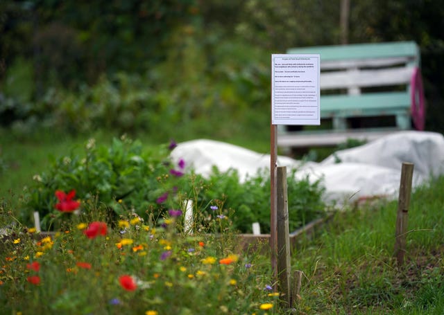 Allotments in Isleworth