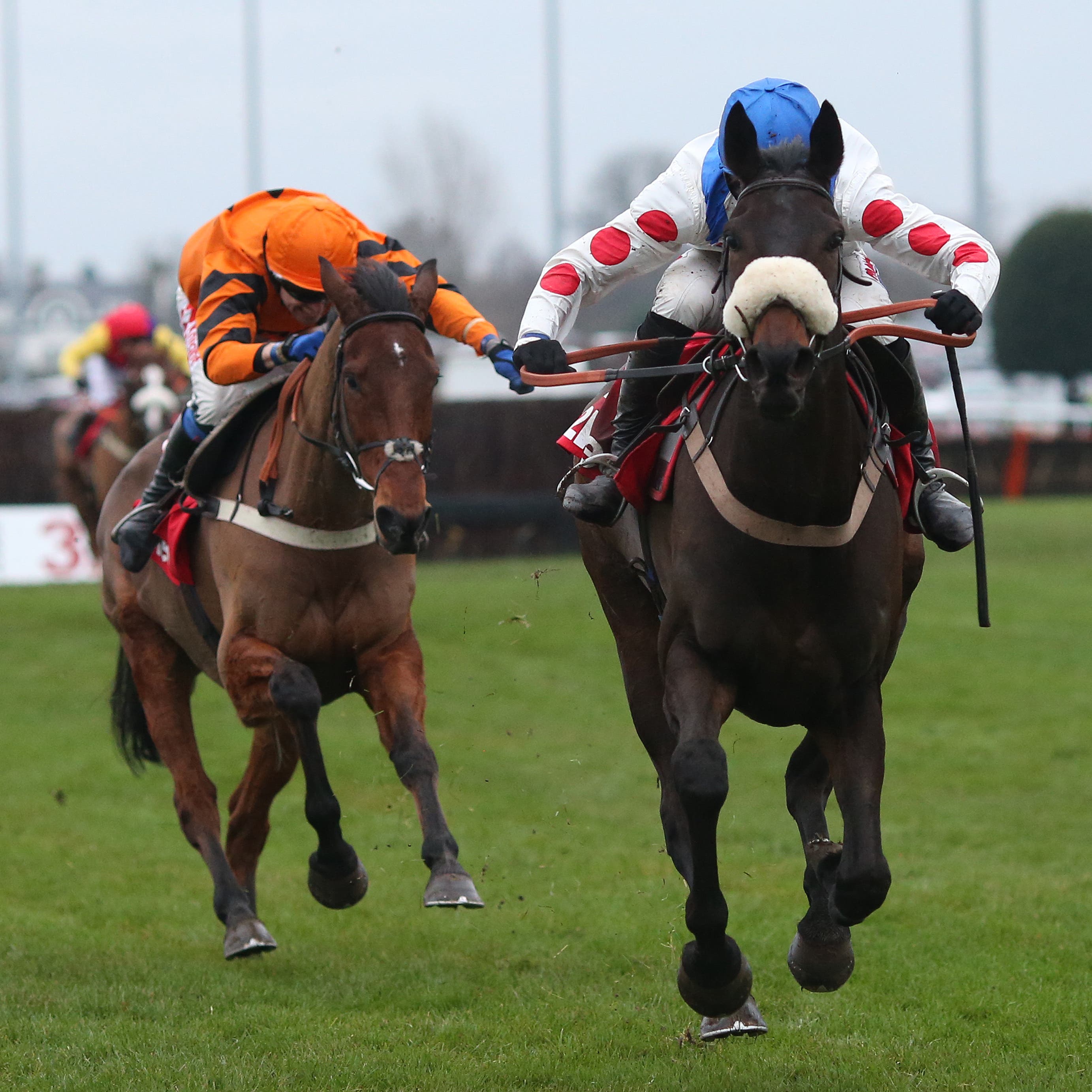 Clan Des Obeaux could run again before the Cheltenham Festival if the Denman Chase is restaged
