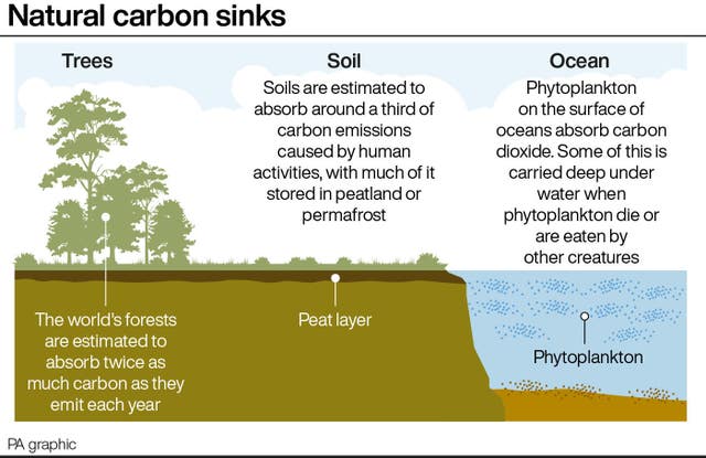 Natural carbon sinks