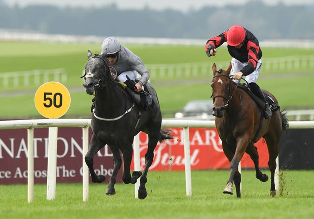 Fallen Angel was a Group One winner at the Curragh 