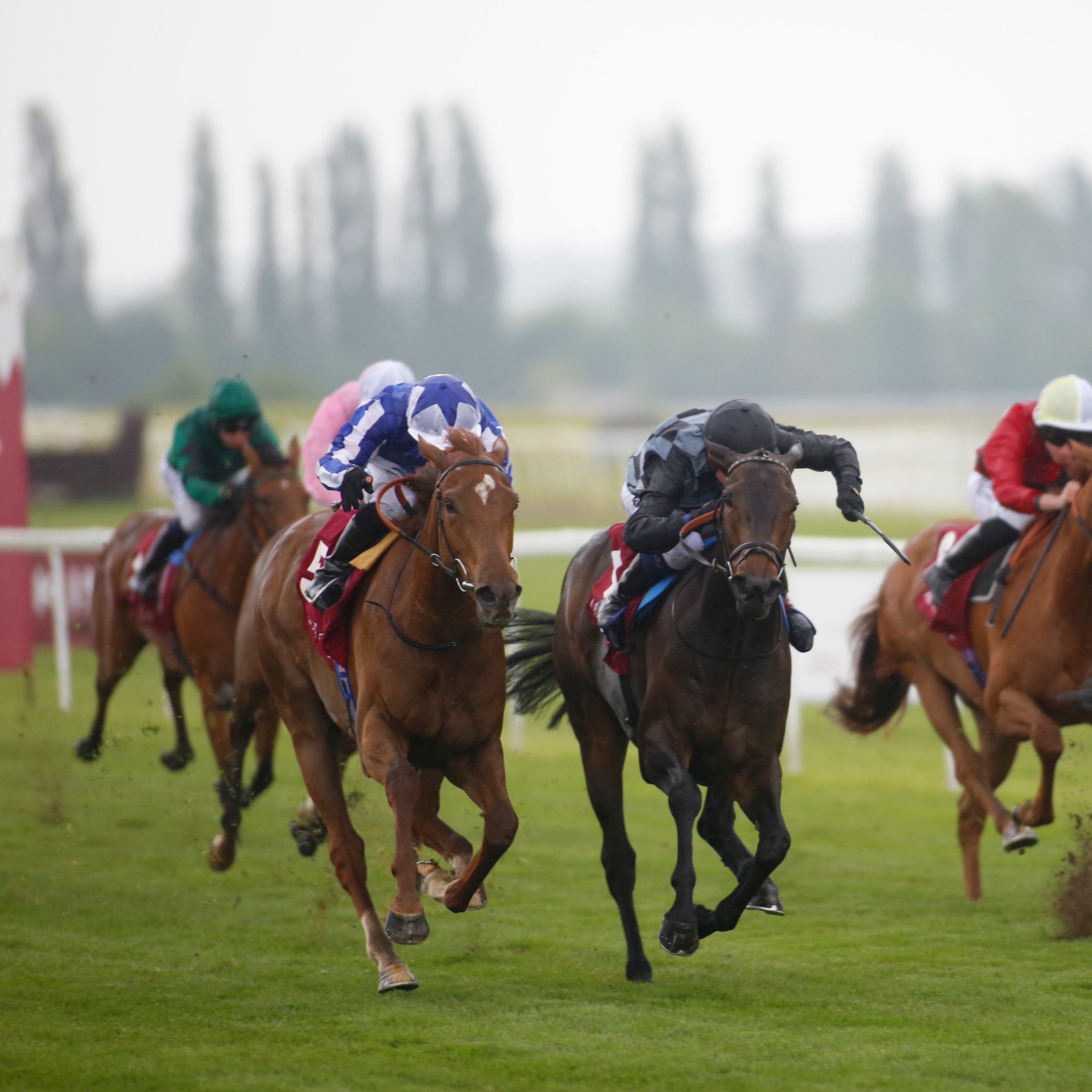 Queen Power came with a strong late run to win at Newbury