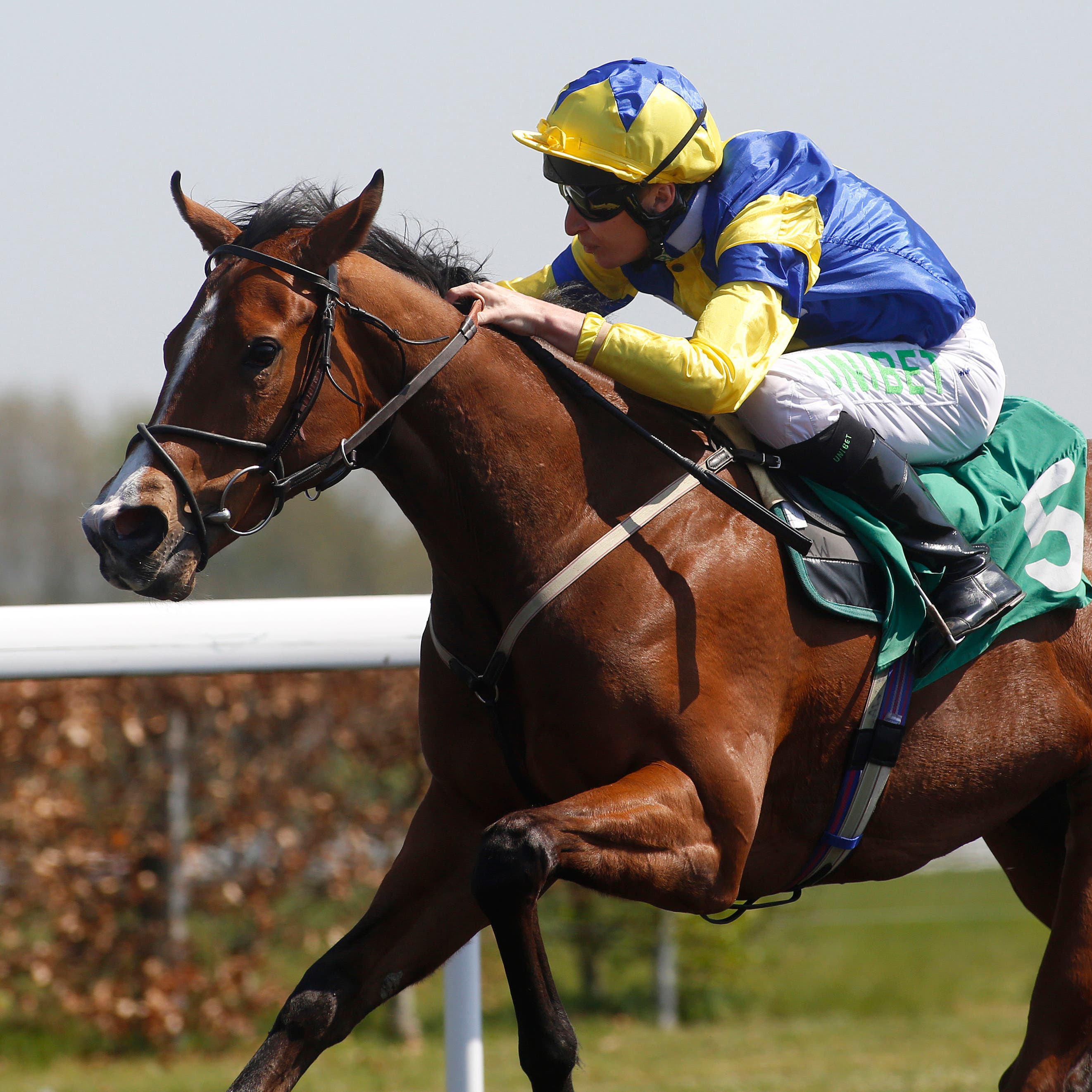 Electric Ladyland initiated a double for Luke Morris at Kempton