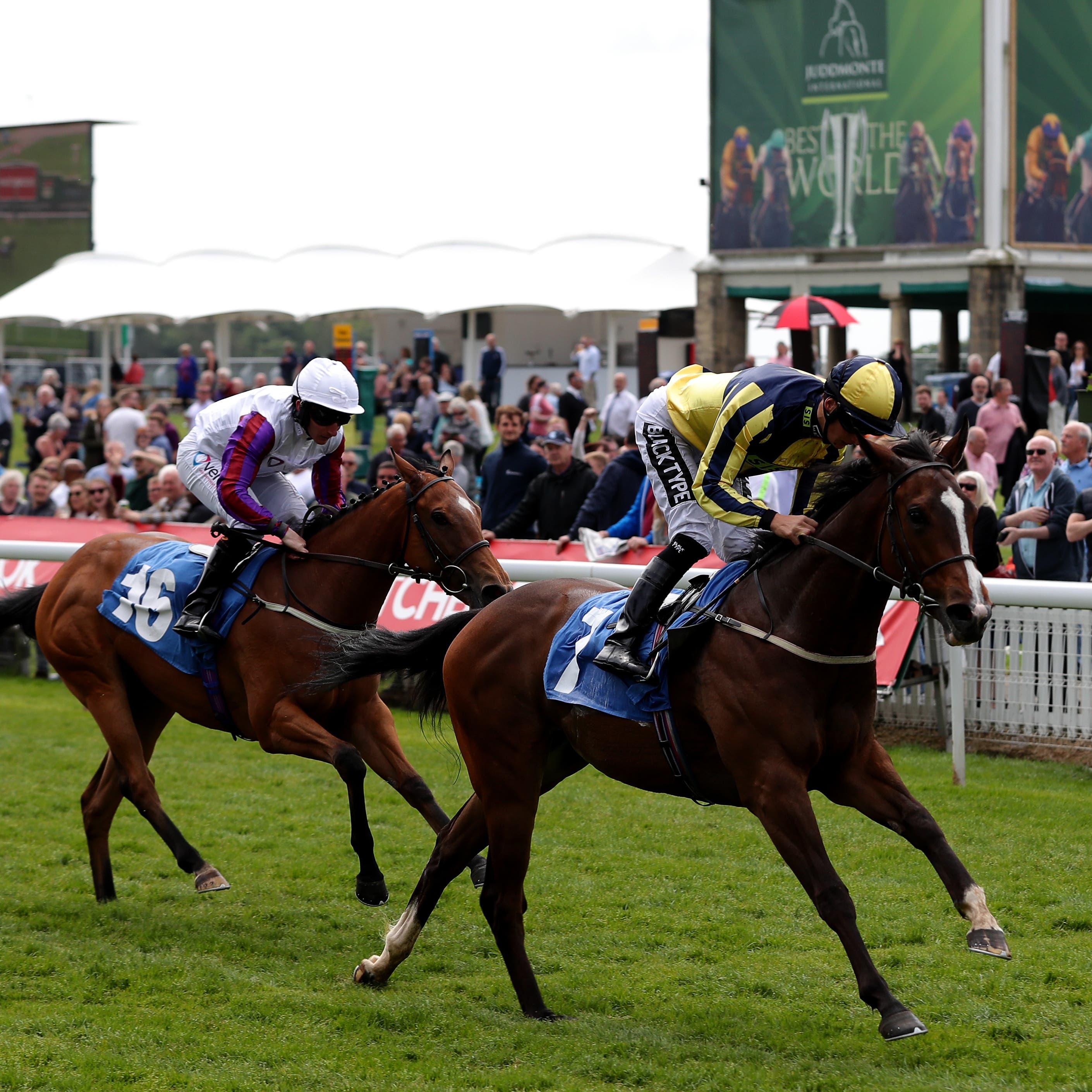 Good Vibes booked her Royal Ascot ticket with victory at York