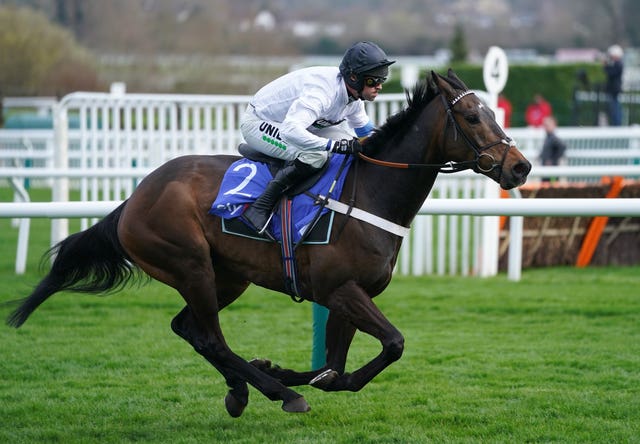 Constitution Hill winning the Supreme Novices’ Hurdle at last season's Cheltenham Festival