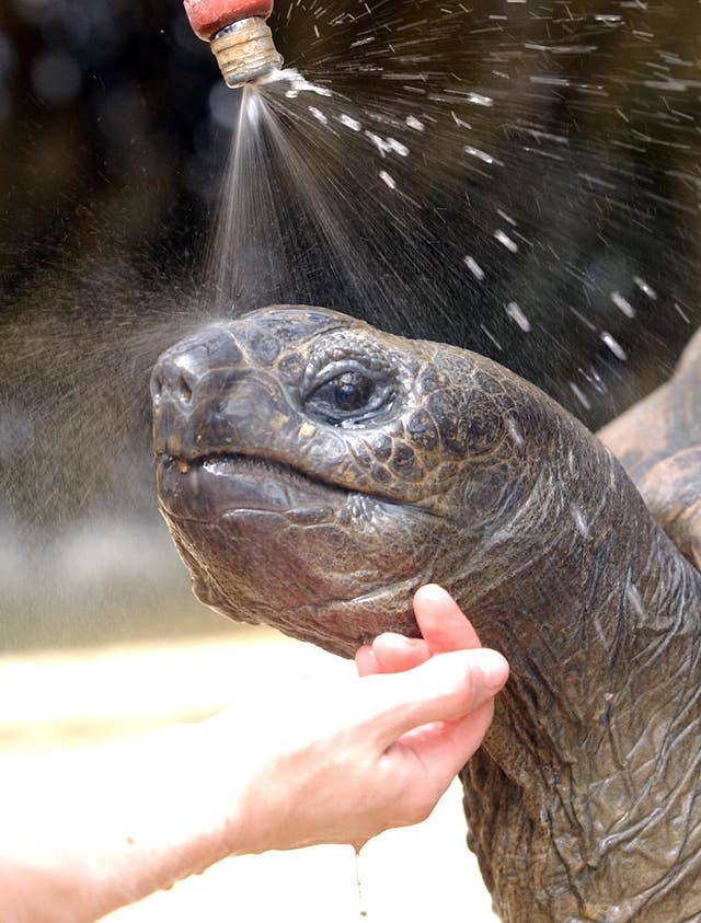 Biggie enjoys a shower