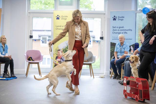 The Duchess of Edinburgh takes part in a puppy class at the Guide Dogs for the Blind Association Training Centre in Reading with a four-month-old puppy named Lucy