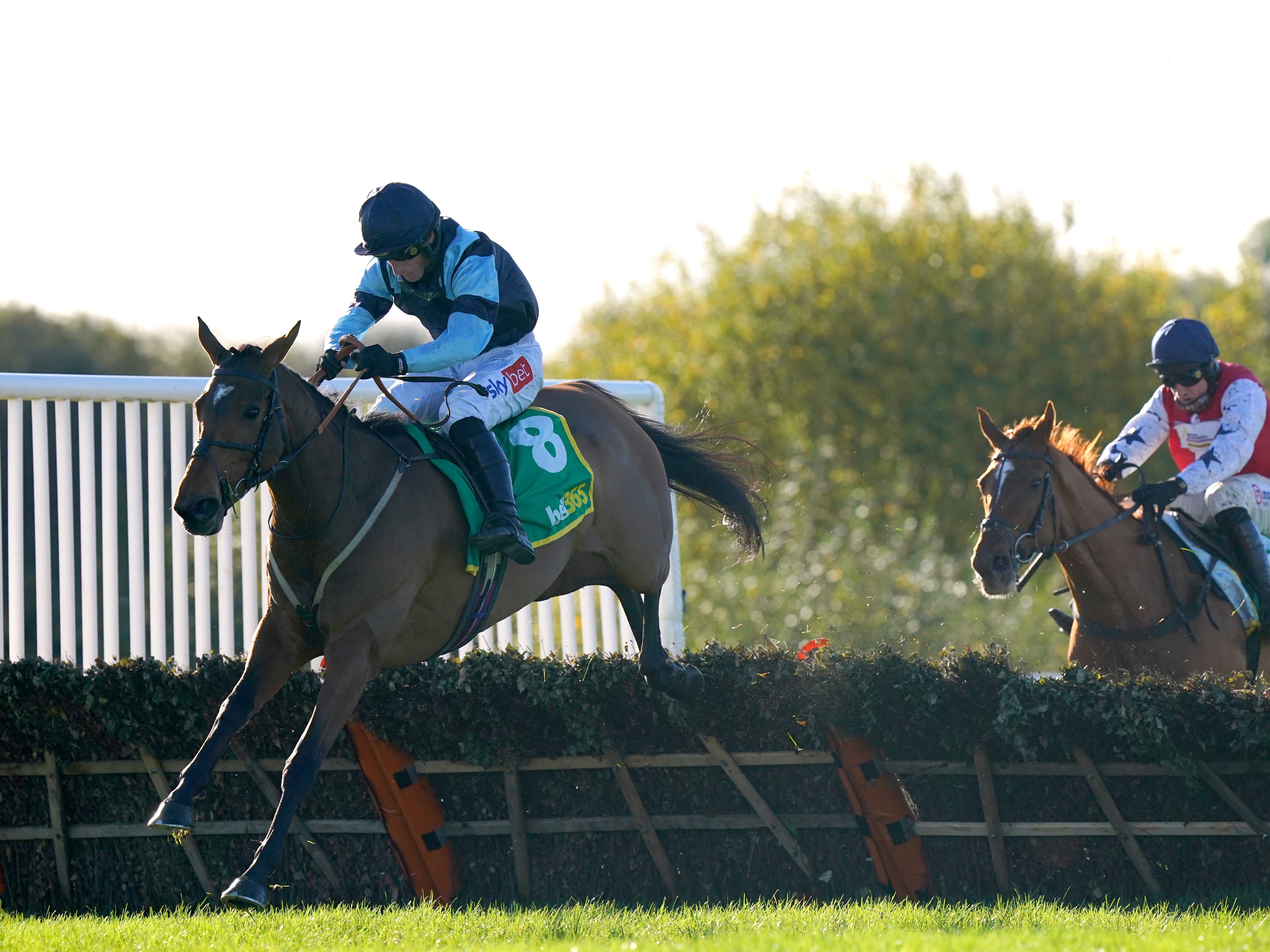 Indefatigable may head to Cheltenham, according to trainer Paul Webber (Tim Goode/PA)