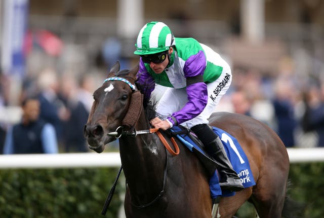 The Charlie Fellowes-trained Vadream in action at Doncaster 