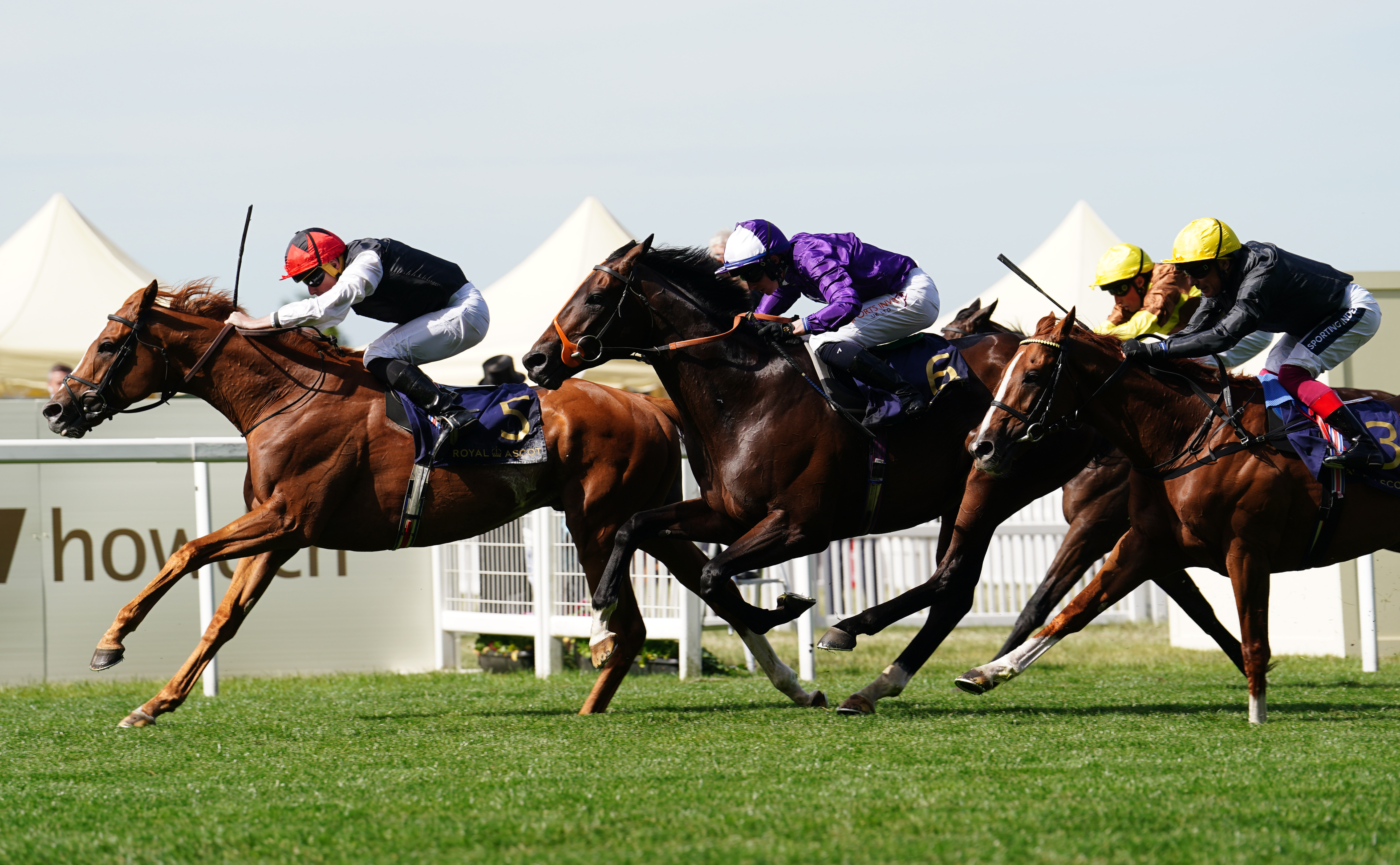 Kyprios winning last year's Gold Cup