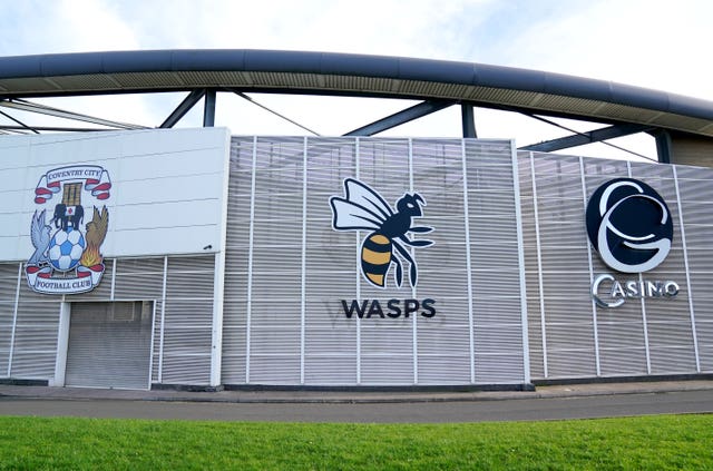 Wasps