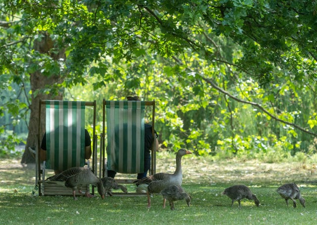 People relaxing in deckchairs at St James’s Park in central London. 