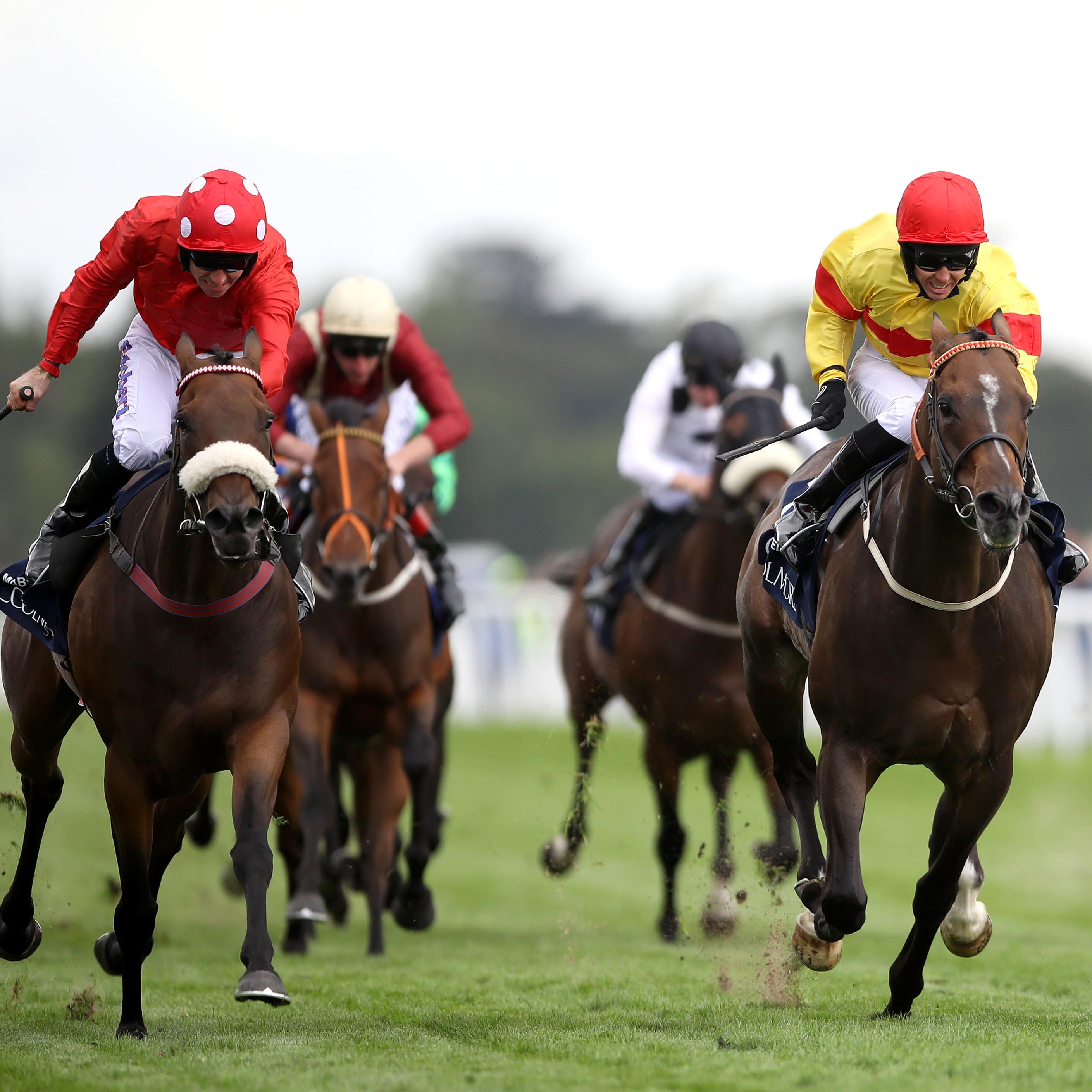 Alpha Delphini (right) and Mabs Cross are to renew rivalry