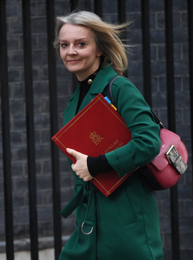 Chief Secretary to the Treasury Liz Truss (Stefan Rousseau/PA)