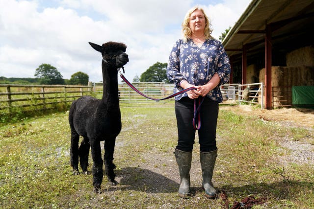 Geronimo the alpaca with owner Helen Macdonald 