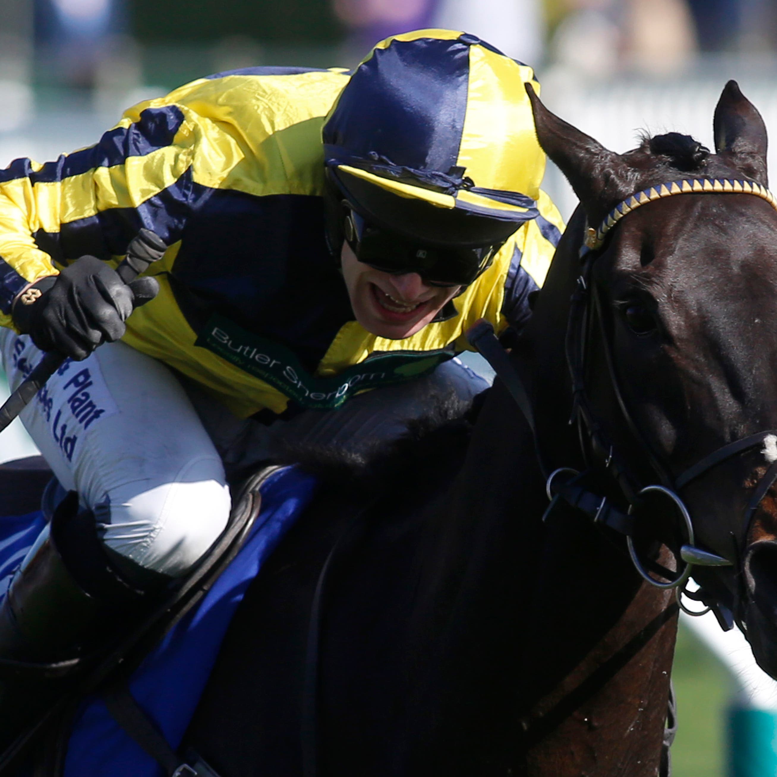 Willoughby Court winning at Cheltenham