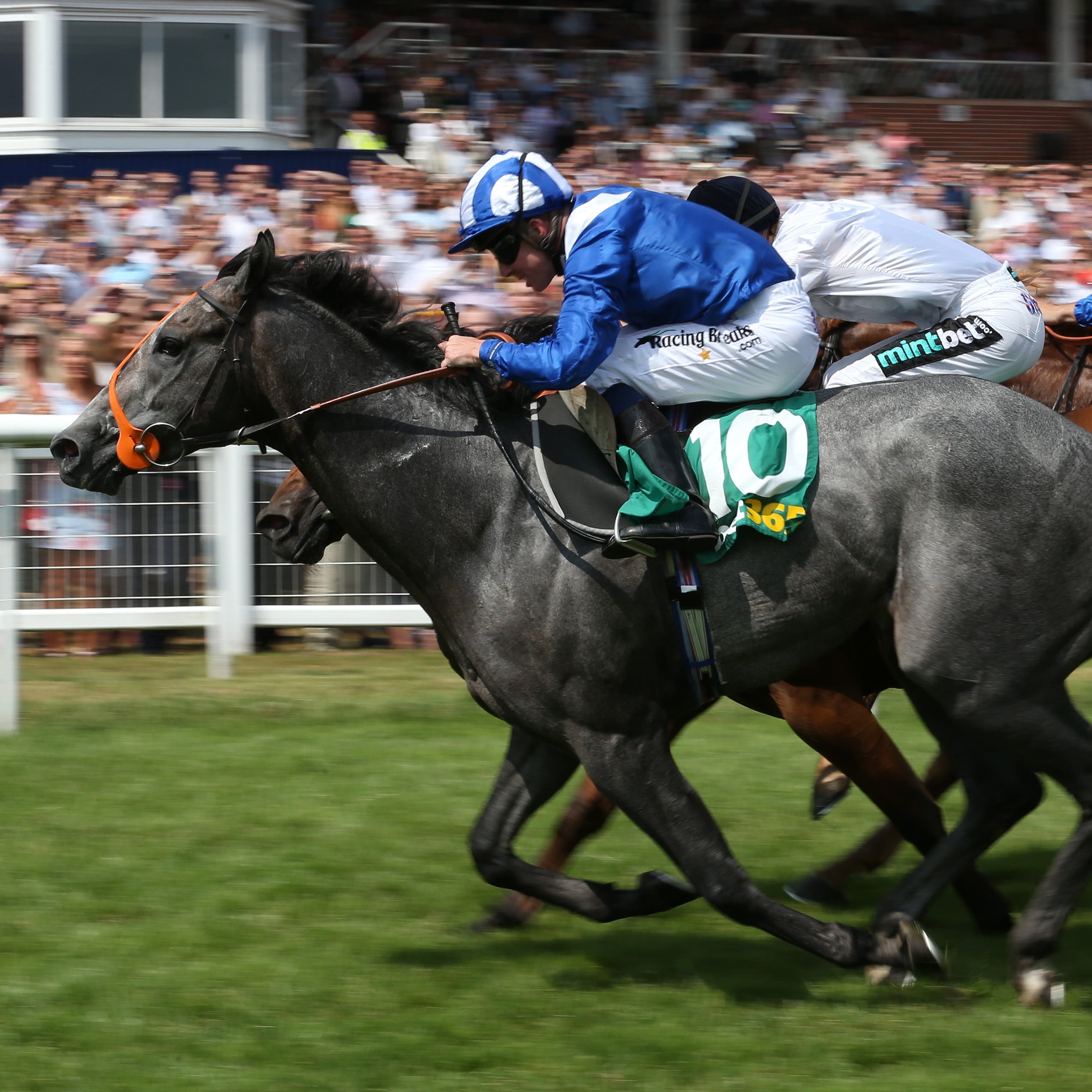 Yafta denies Projection in the Hackwood Stakes
